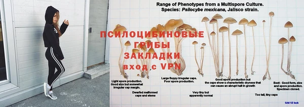 винт Алзамай