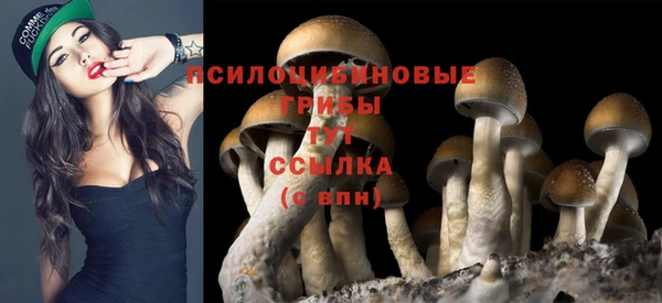Альфа ПВП Алексин