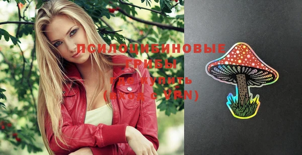 винт Алзамай