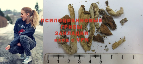 винт Алзамай