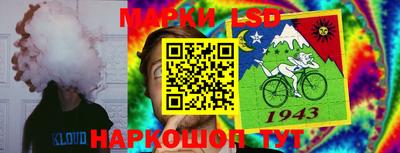 спайс Волгодонск