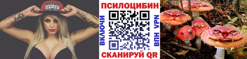 ссылка на мегу как войти  наркошоп  Людиново  Псилоцибиновые грибы Magic Shrooms 