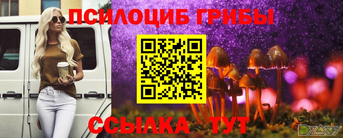 Псилоцибиновые грибы ЛСД Людиново