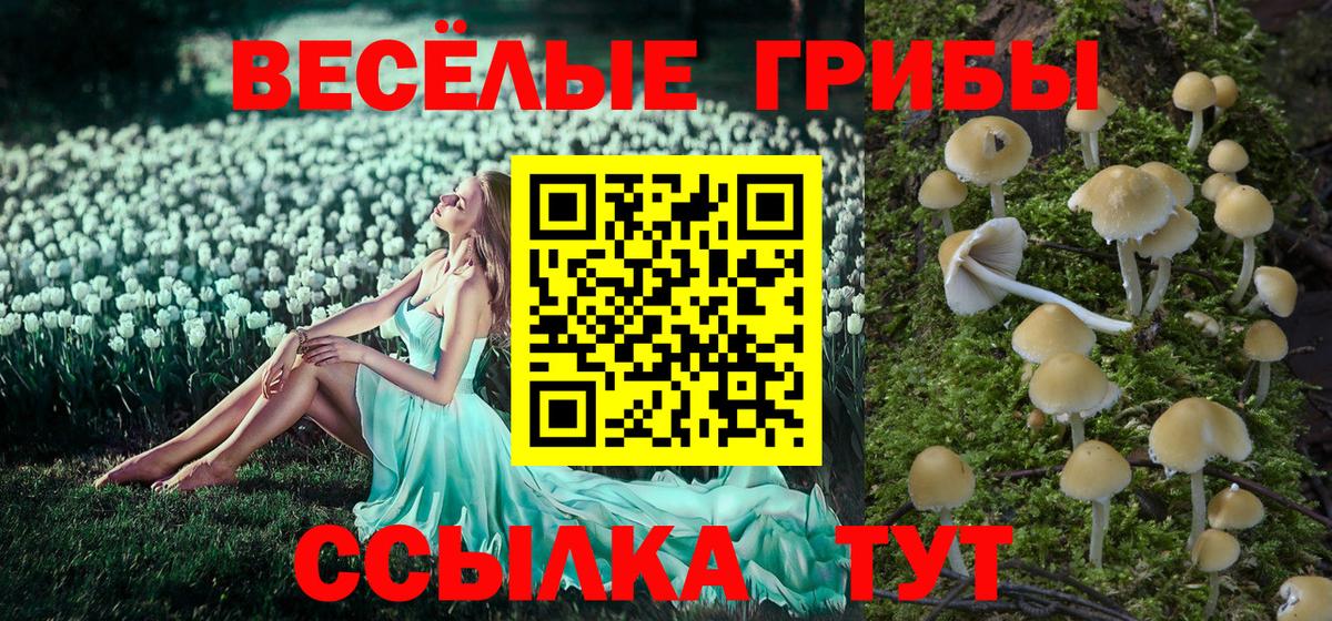 Галлюциногенные грибы ЛСД  Галлюциногенные грибы ЛСД  Людиново  Вход с VPN 